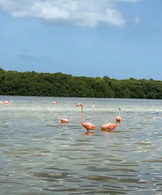Mérida - Finde heraus, warum die Stadt auch "Die Schöne" genannt wird
